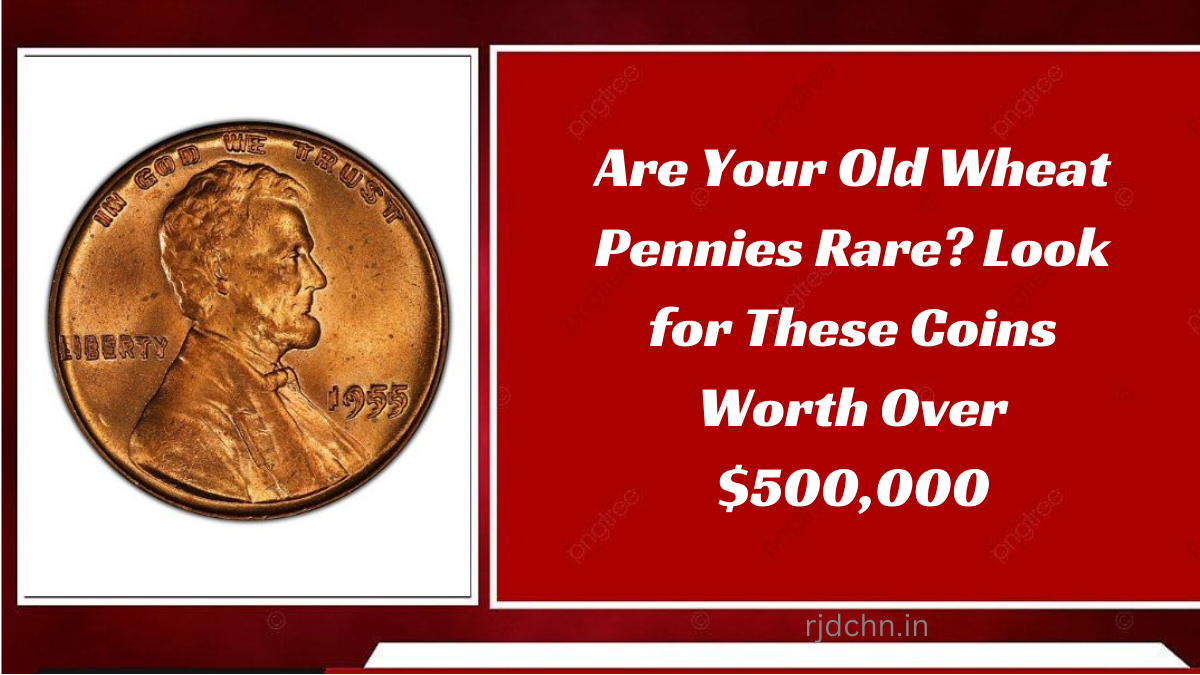 Are Your Old Wheat Pennies Rare? Look for These Coins Worth Over $500,000