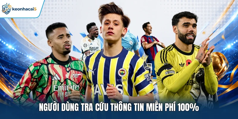 Người dùng tra cứu thông tin miễn phí 100%