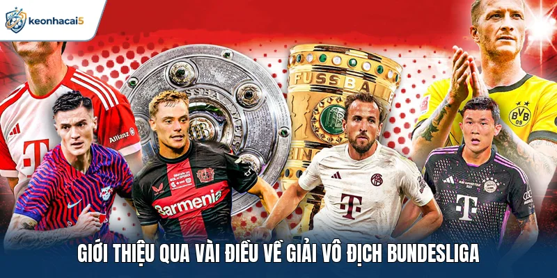Giới thiệu qua vài điều về giải vô địch Bundesliga